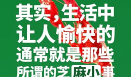 吃瓜热门爆料正能量文案,揭秘热门爆料背后的温暖故事